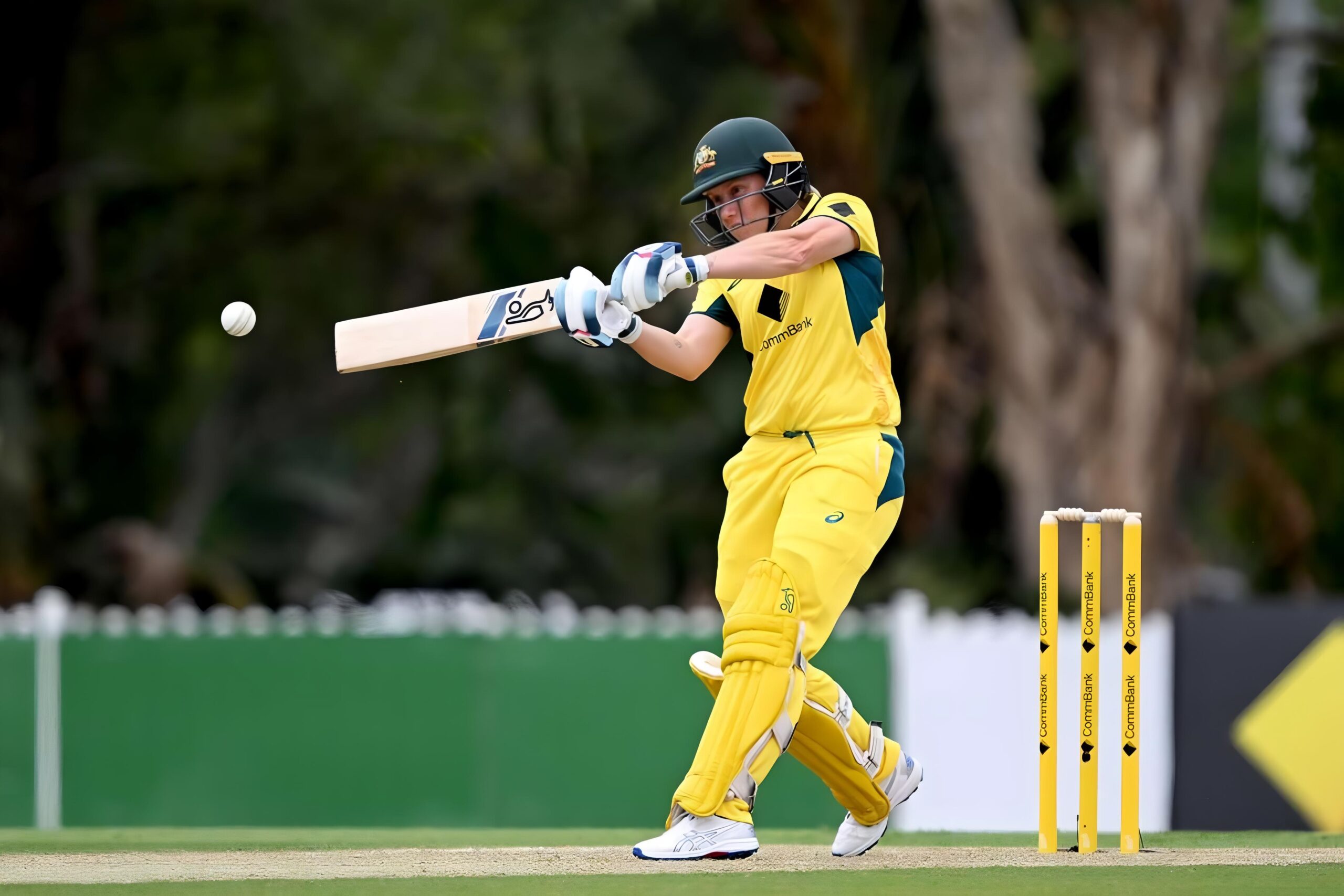 Healy Withdraws from New Zealand Tour but Eyes ODI World Cup Return